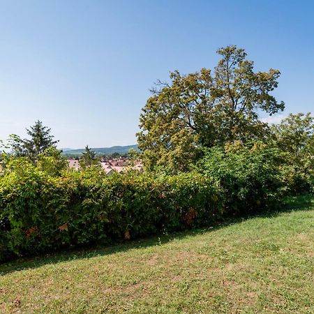 Le Nichoir De La Colline - Parking & Wifi Apartment Obernai Luaran gambar