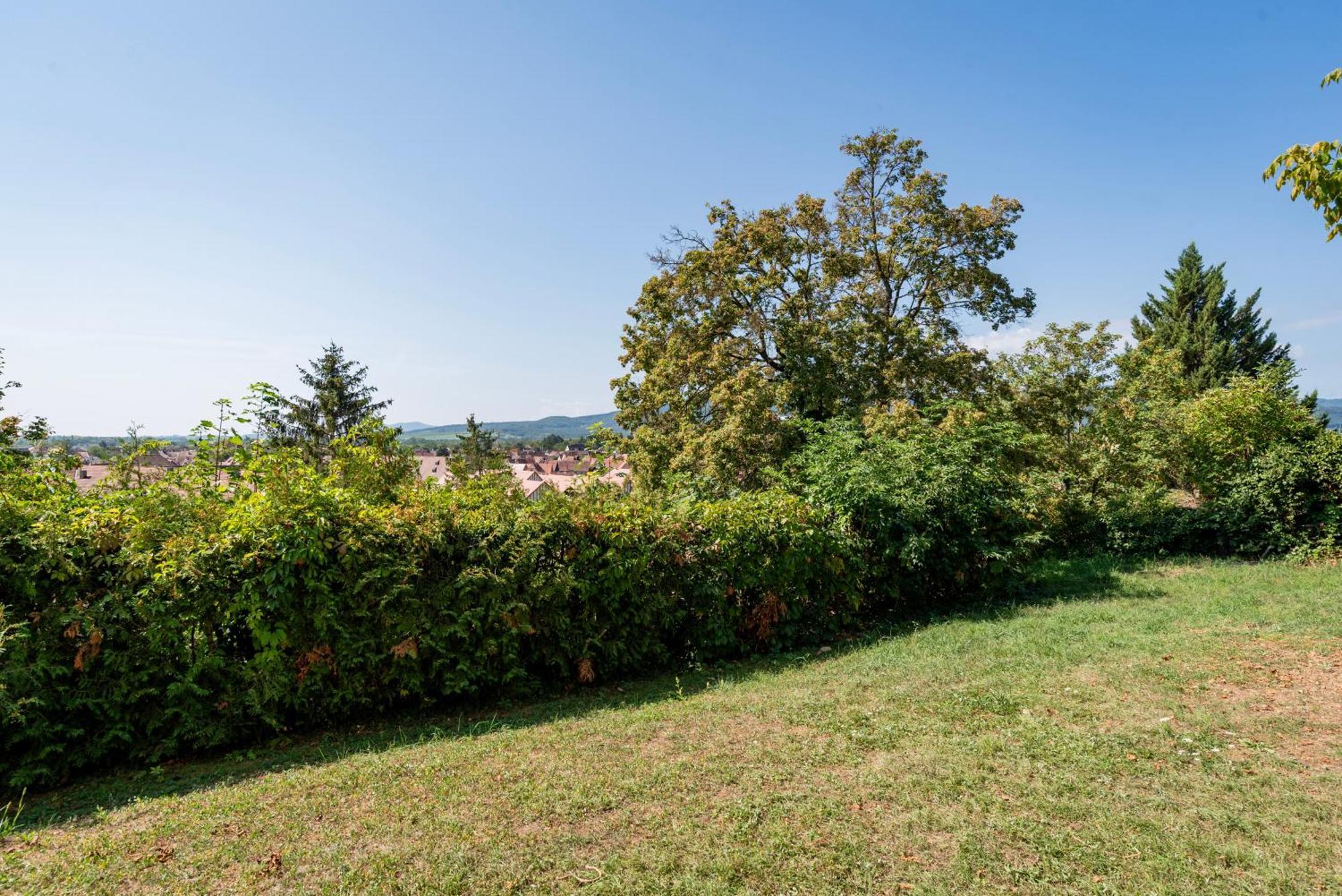 Le Nichoir De La Colline - Parking & Wifi Apartment Obernai Luaran gambar